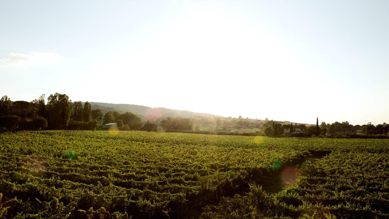 Agriturismo Il Cicaleto Cannara Zewnętrze zdjęcie