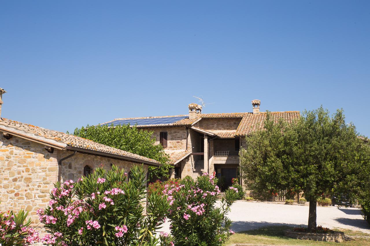 Agriturismo Il Cicaleto Cannara Zewnętrze zdjęcie